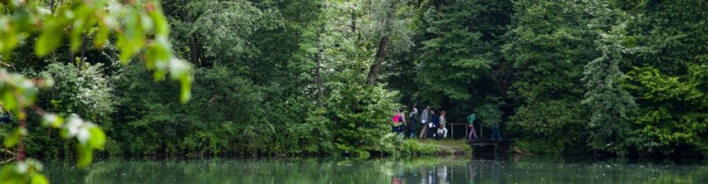 Fluchtwege – An der Grenze. Flucht in die Schweiz 1938–1945