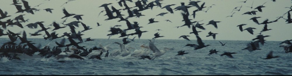 „Souls of a River“ - Dokumentarfilm und Publikumsgespräch