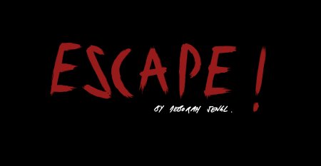 Escape! by Deborah Sengl | ab 14 Jahren